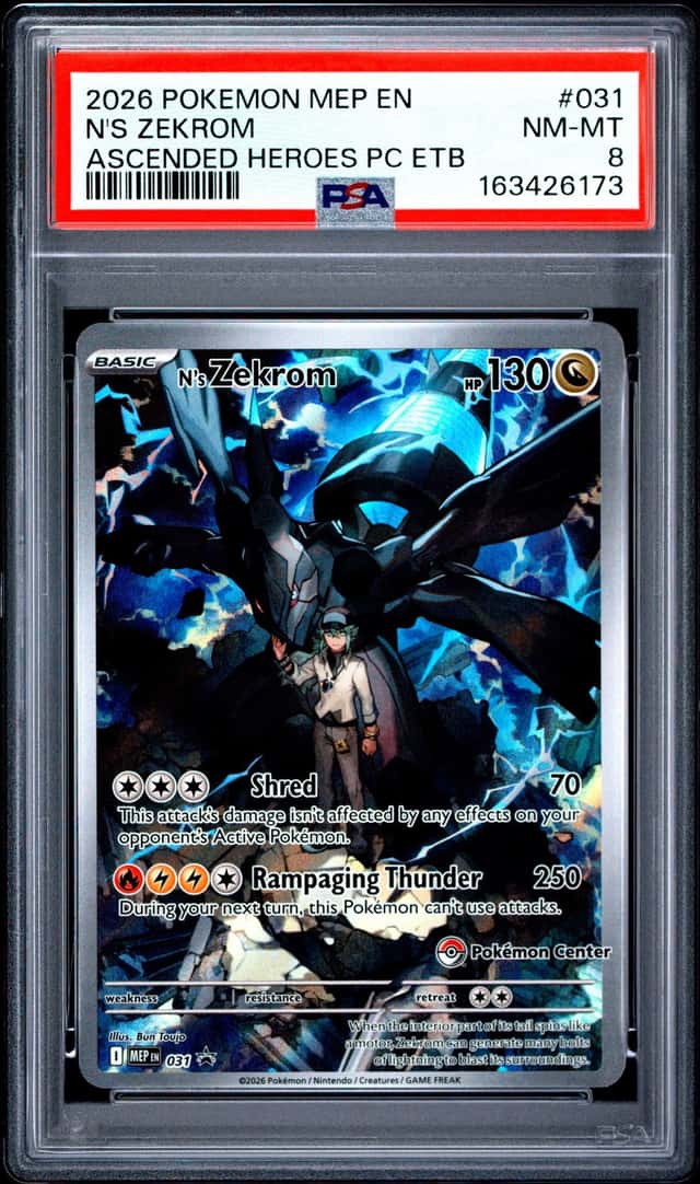 N's Zekrom