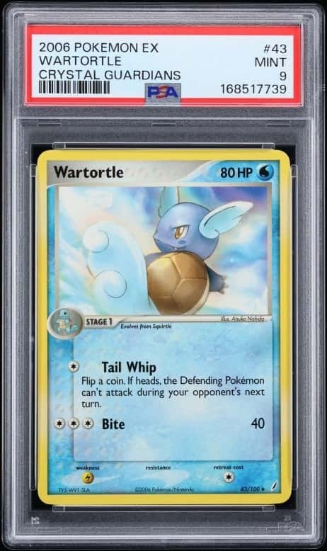 Wartortle