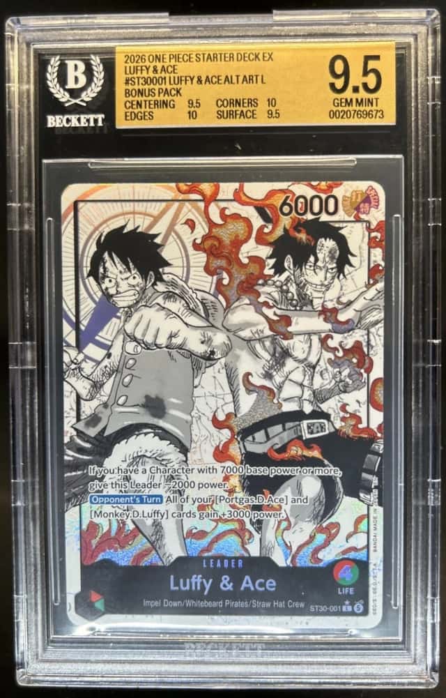 Luffy & Ace