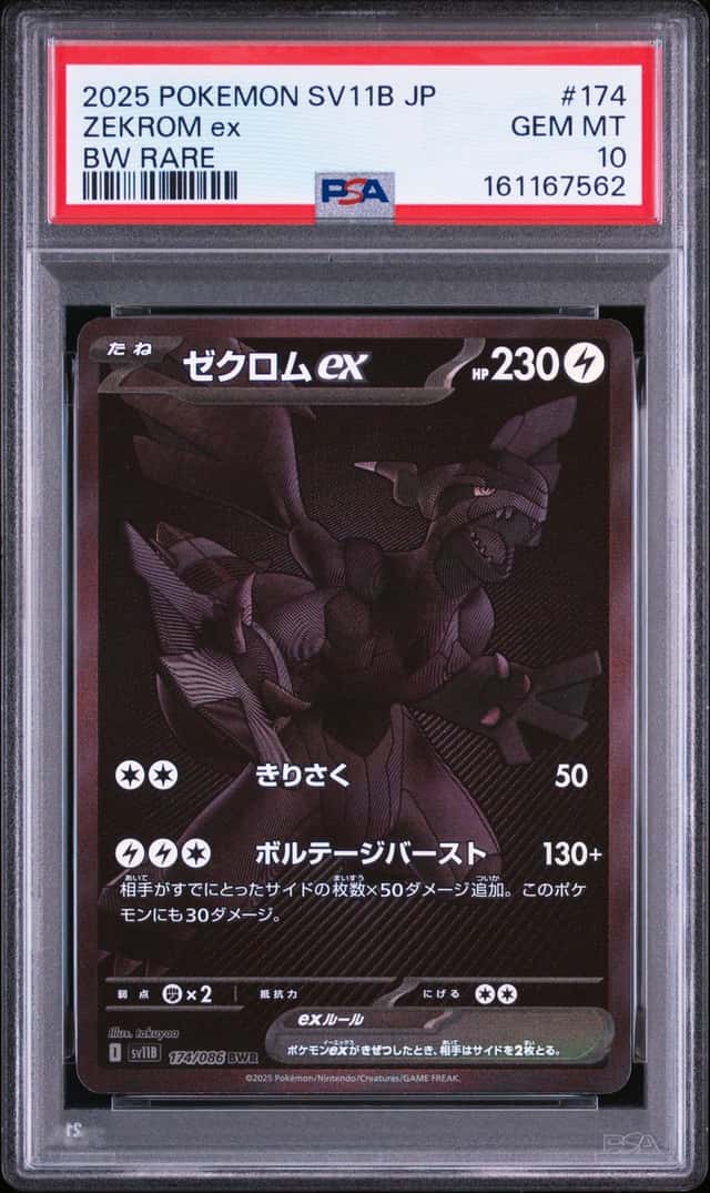 ZEKROM ex