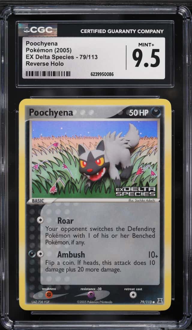 Poochyena