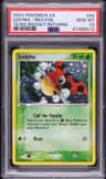 Ledyba