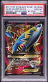 M Sharpedo Ex