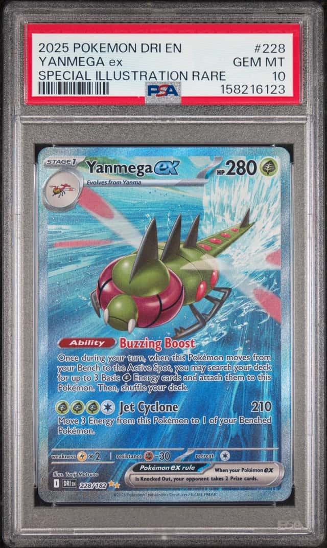 YANMEGA ex