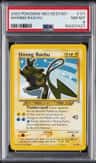 Shining Raichu