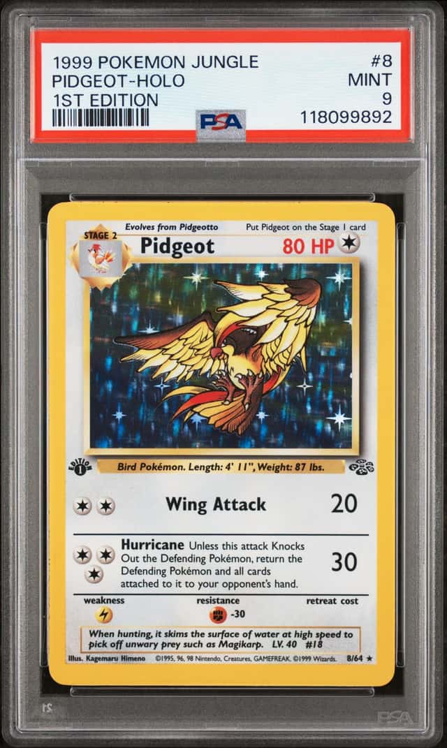 Pidgeot