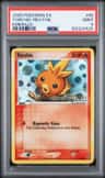 Torchic