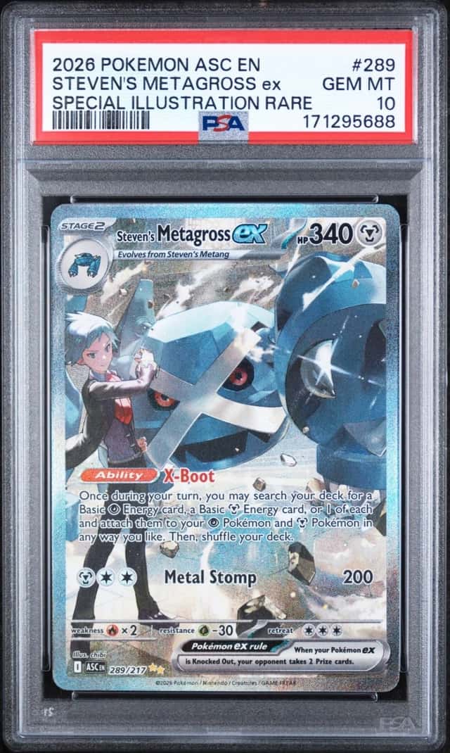STEVEN'S METAGROSS ex