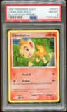 Chimchar