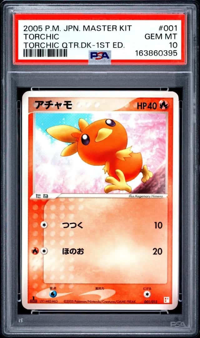 Torchic