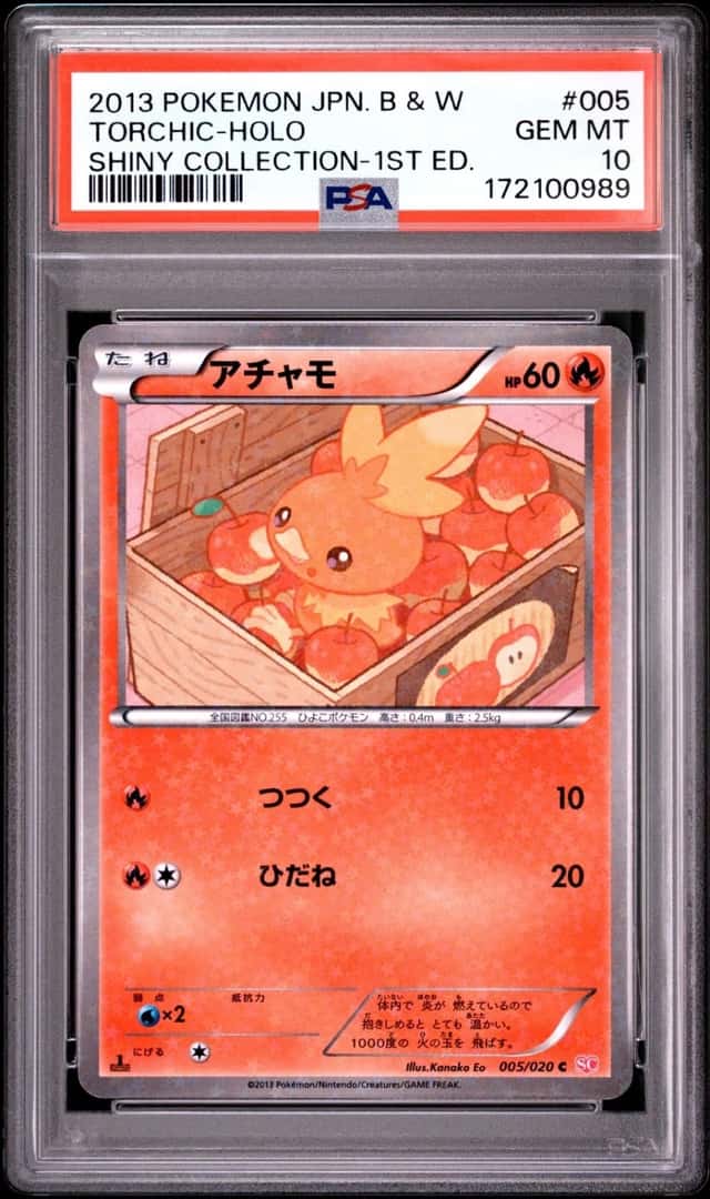 Torchic