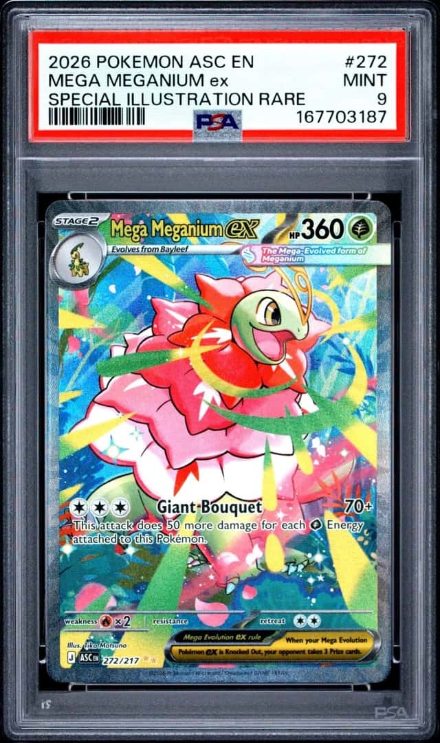 MEGA MEGANIUM ex