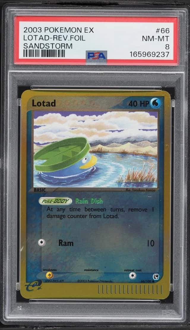 Lotad