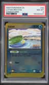 Lotad