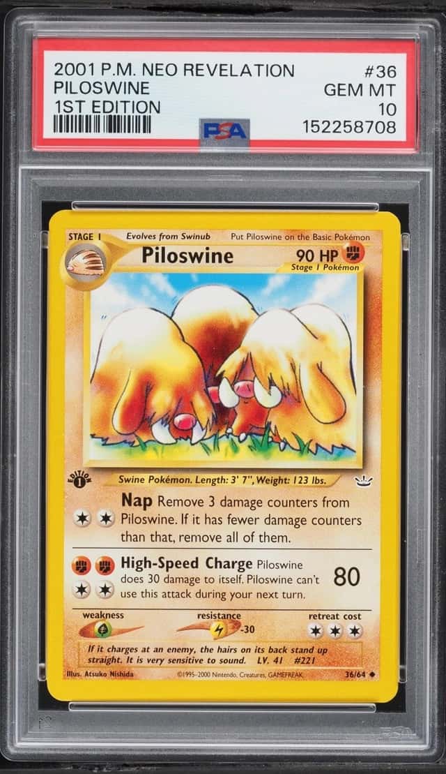 Piloswine