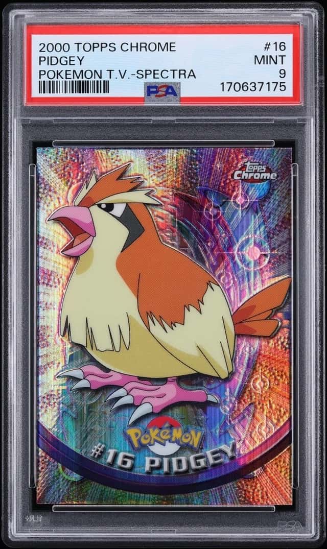 Pidgey