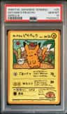Ooyama'S Pikachu