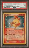 Torchic