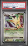 Leafeon Lv X