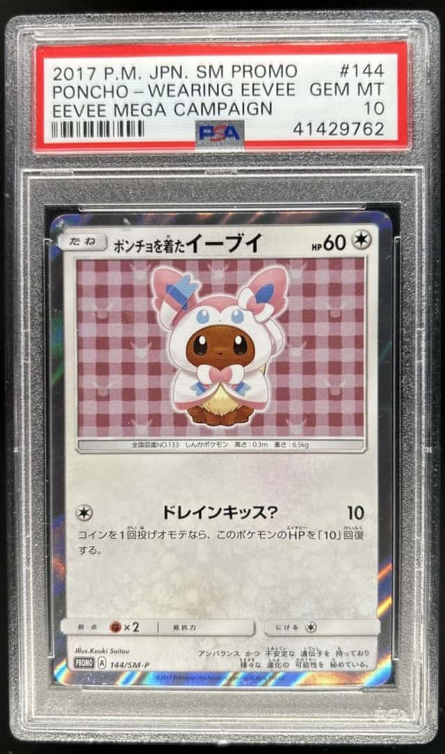 Poncho-Wearing Eevee