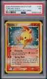 Torchic
