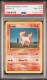 Ponyta