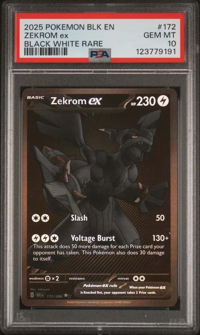 ZEKROM ex