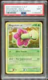 Meganium