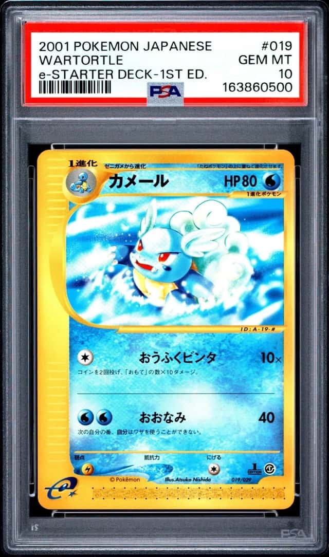 Wartortle