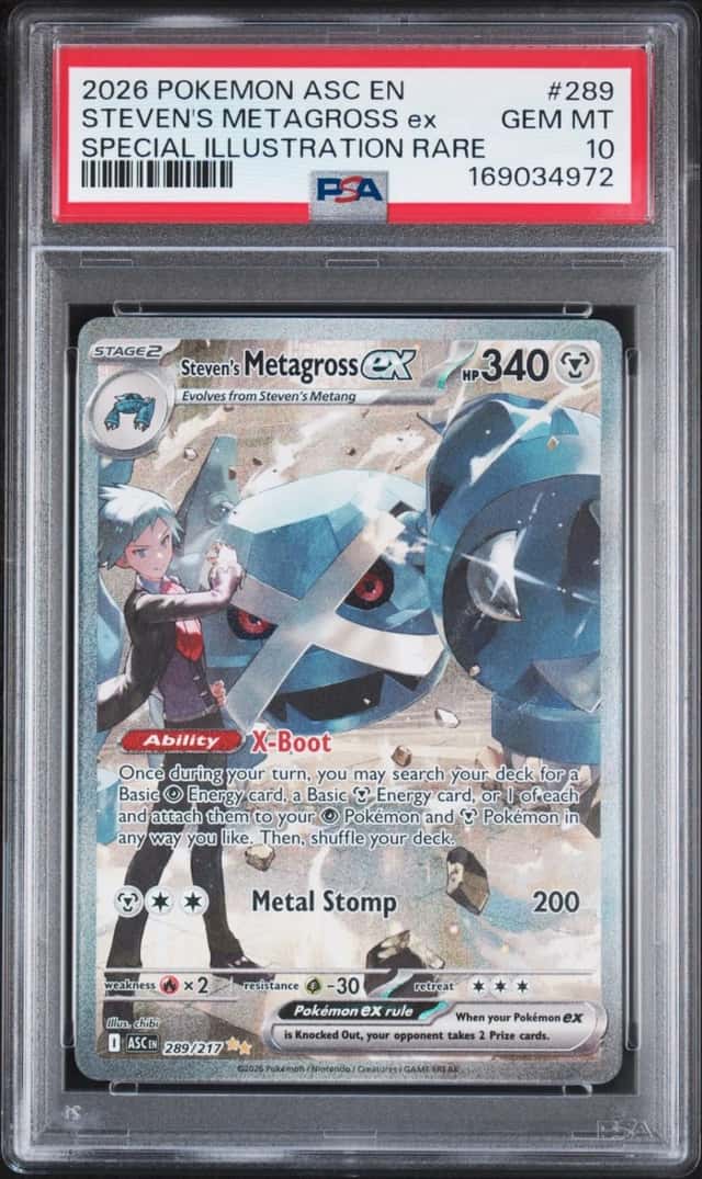 STEVEN'S METAGROSS ex