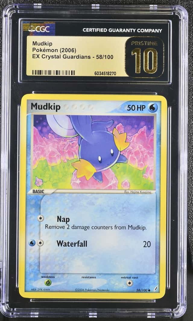 Mudkip