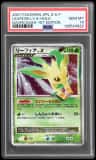 Leafeon Lv X