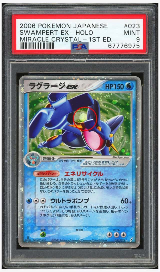 Swampert EX