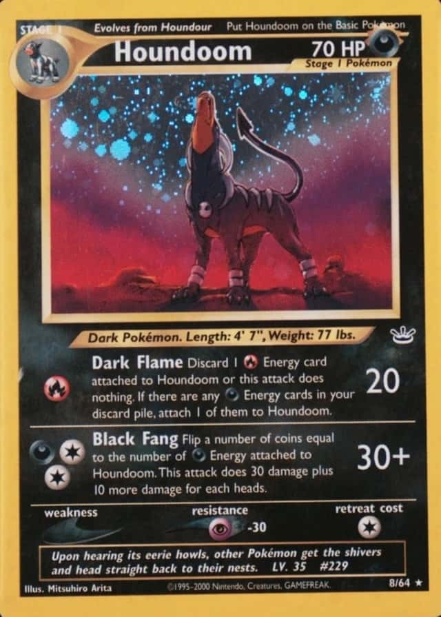 Holo