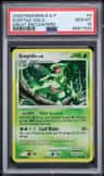 Sceptile