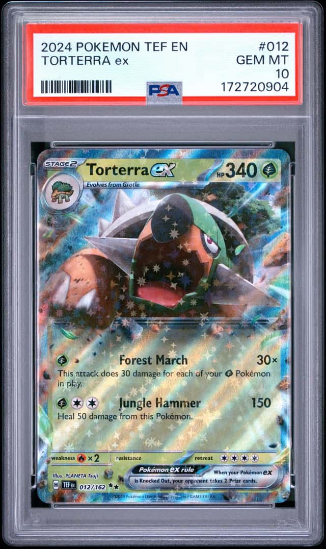 TORTERRA ex