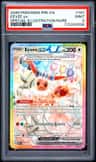 Eevee Ex