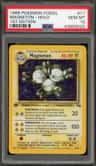 Magneton