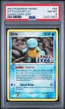 Ditto [squirtle]
