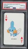 Mudkip