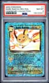 Dark Raichu