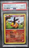 Tepig