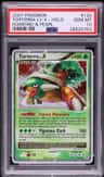Torterra Lv X
