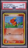 Torchic