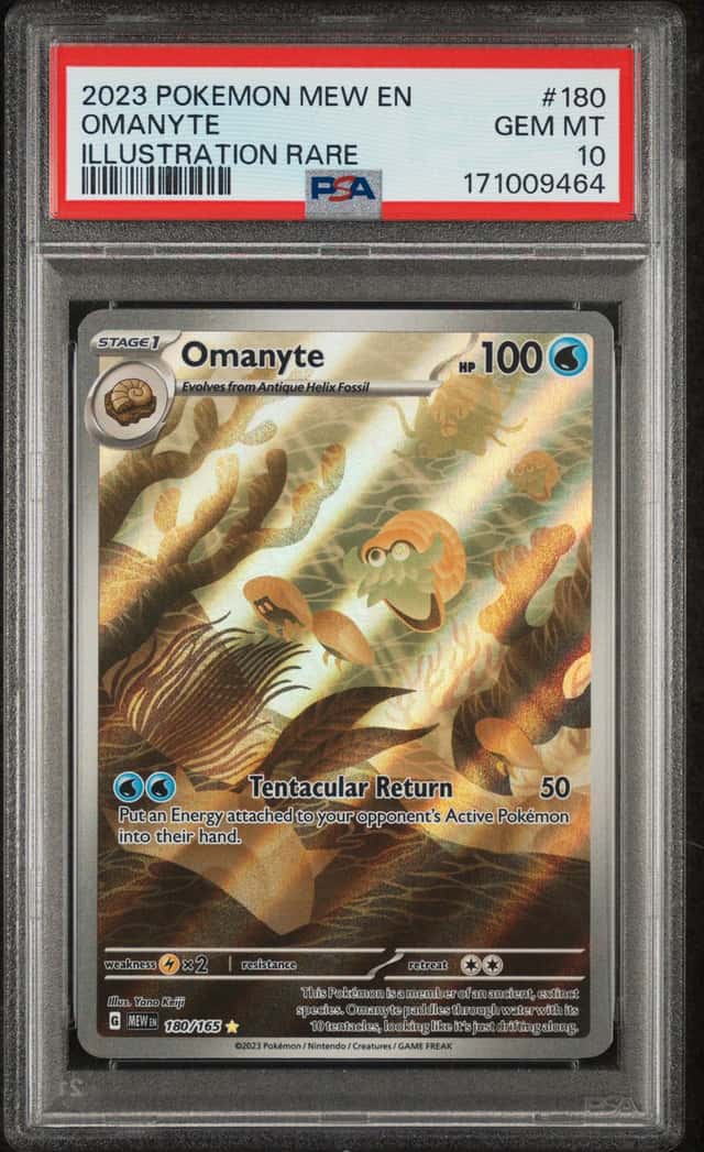 Omanyte