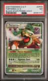 Torterra Lv X