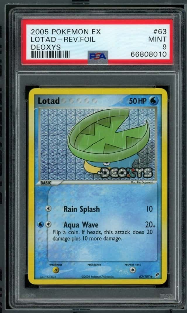Lotad