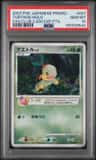 Turtwig