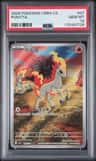 Ponyta