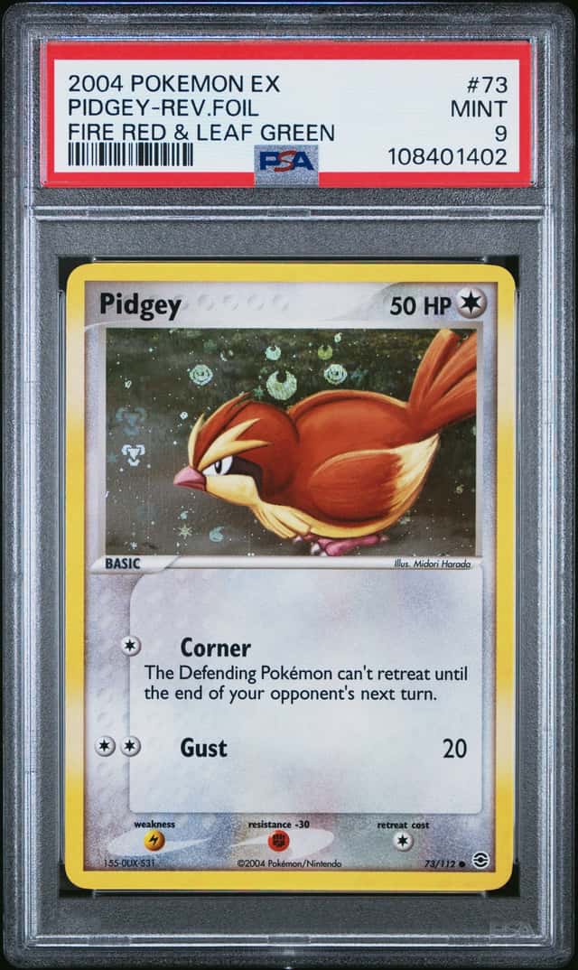 Pidgey